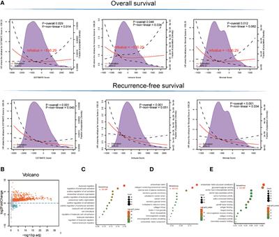 CXCL12 and IL7R as Novel Therapeutic Targets for Liver Hepatocellular Carcinoma Are Correlated With Somatic Mutations and the Tumor Immunological Microenvironment